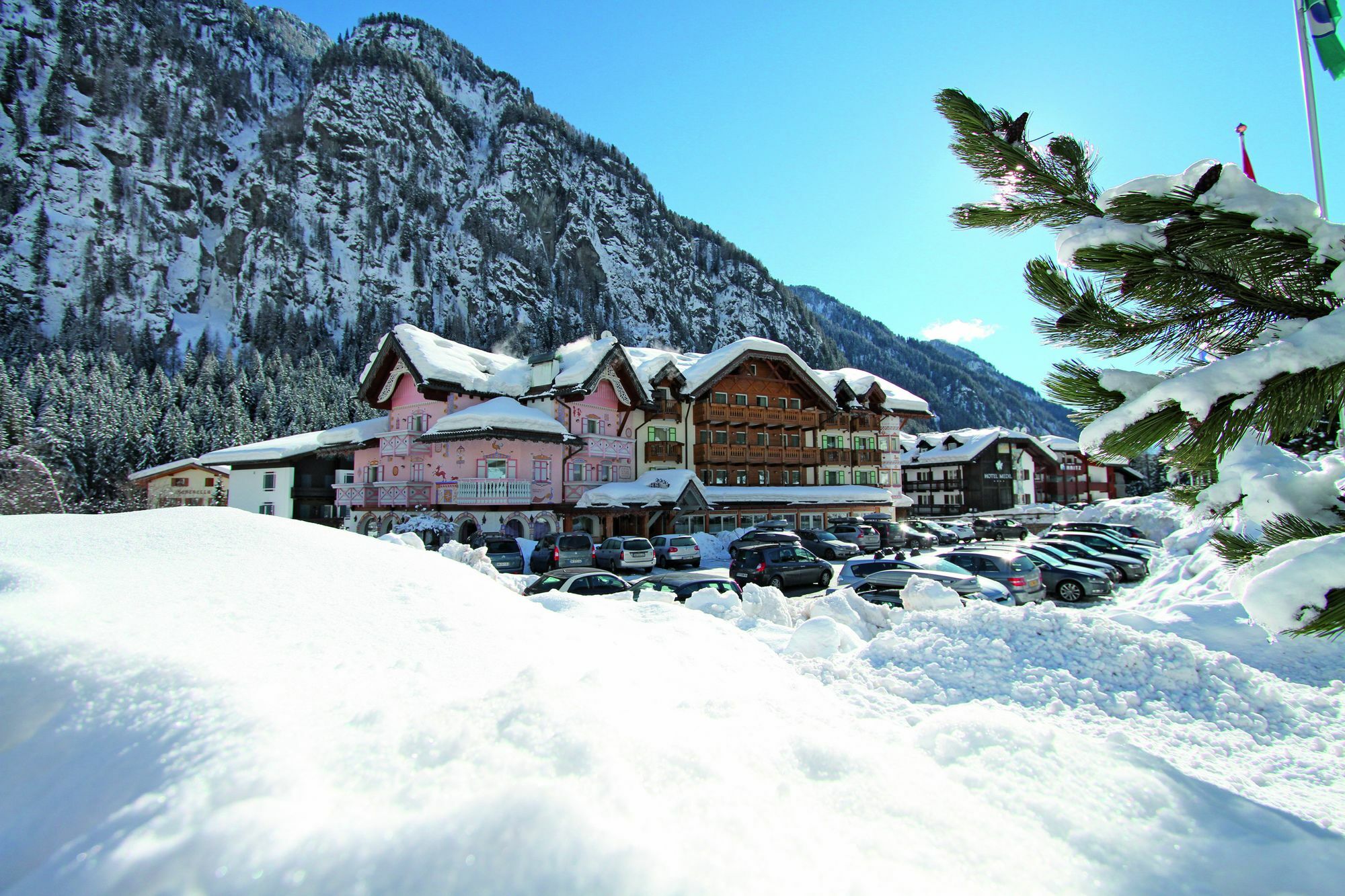 Hotel Soreghes Gran Chalet 坎皮泰洛迪法萨 外观 照片